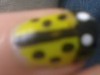 /album/nail-art-inspirate/a2012-10-23-16-57-03-1-jpg/